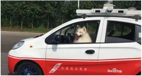 國內(nèi)外無人駕駛是什么水平？